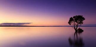 Na czym gotować wodę?