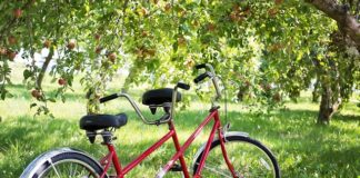 Co to jest tandem w transporcie?