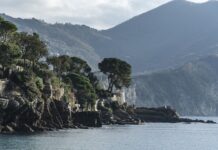 Ile kosztuje wymiana przedniego błotnika? Ile kosztuje wymiana przedniego błotnika?