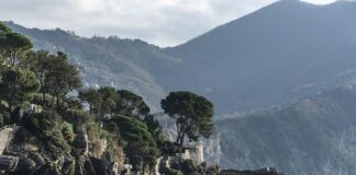 Ile kosztuje Pomporozdrabniacz? Ile kosztuje Pomporozdrabniacz?